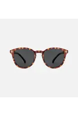 CARVE SUNGLASSES Oslo Polarized Lens  Gloss Tort Frame Grey Injected Polarized Lens