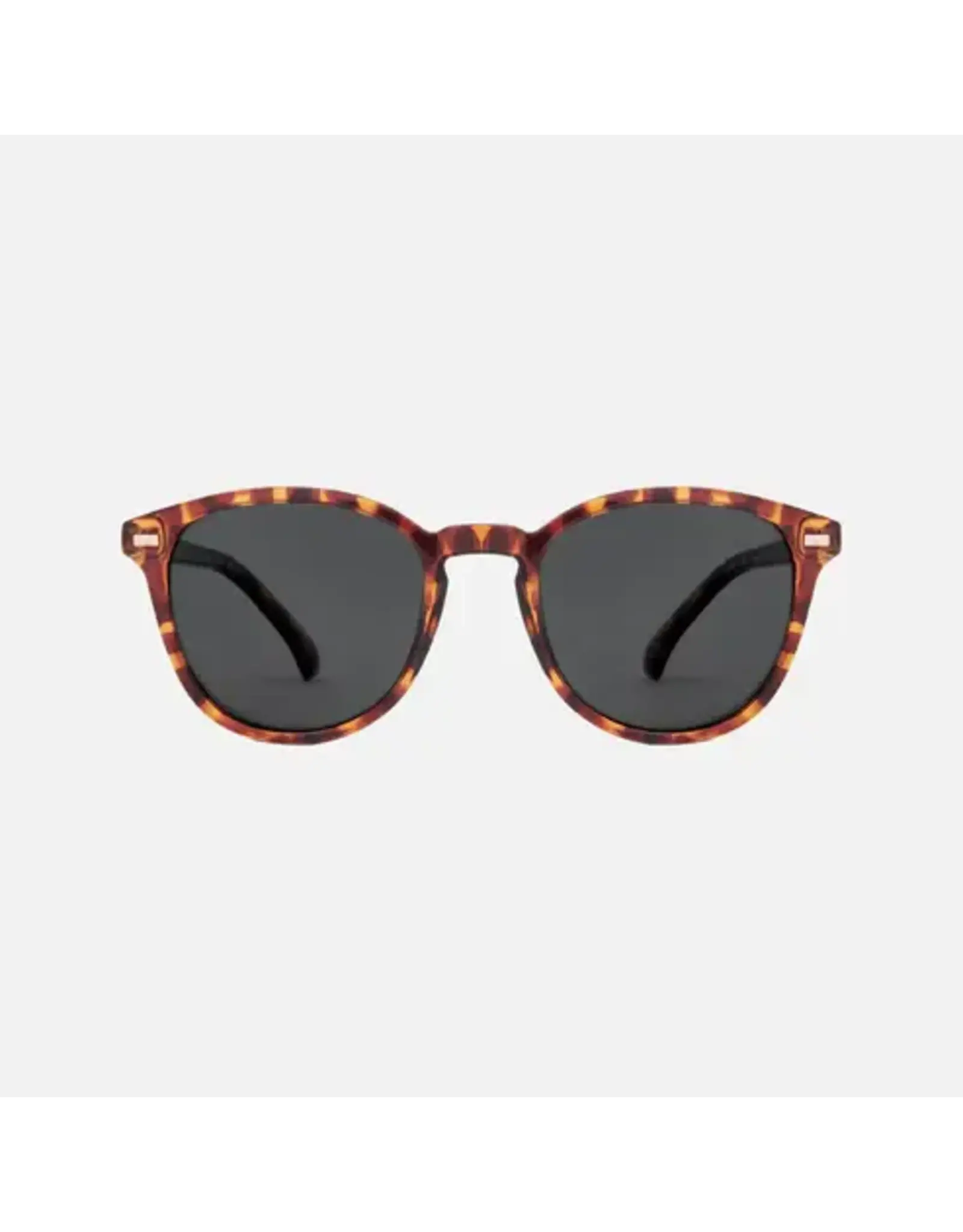 CARVE SUNGLASSES Oslo Polarized Lens  Gloss Tort Frame Grey Injected Polarized Lens