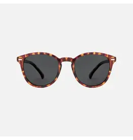 CARVE SUNGLASSES Oslo Polarized Lens  Gloss Tort Frame Grey Injected Polarized Lens