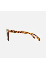 CARVE SUNGLASSES Oslo Polarized Lens  Gloss Tort Frame Grey Injected Polarized Lens