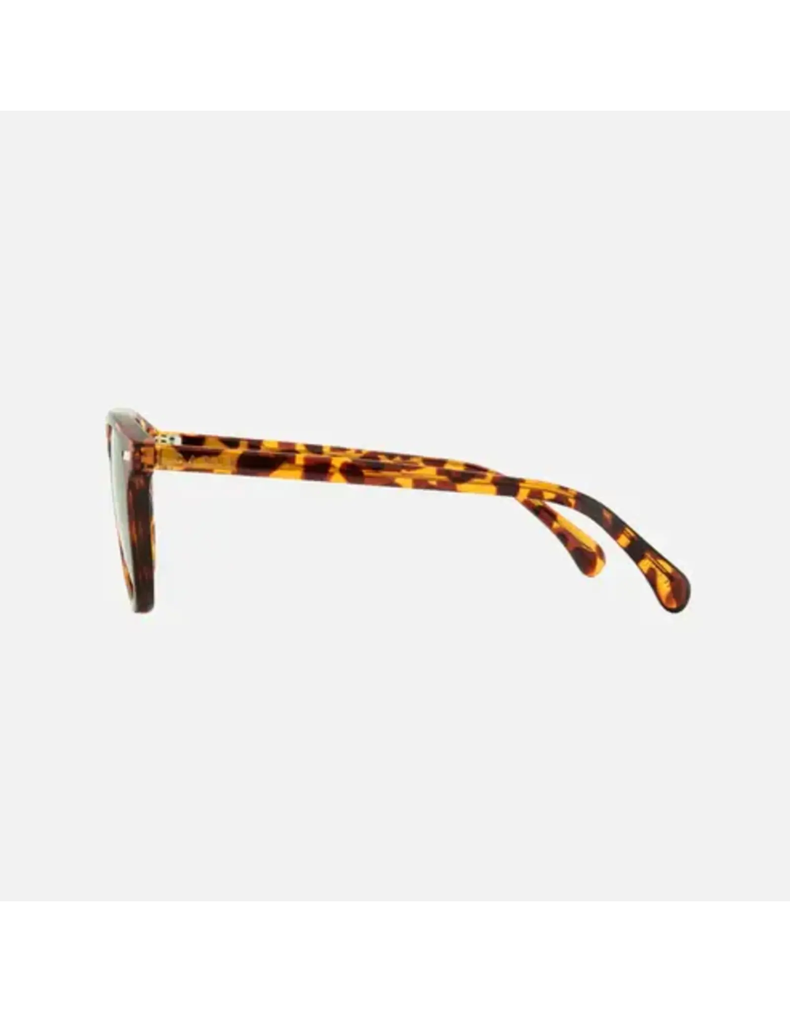 CARVE SUNGLASSES Oslo Polarized Lens  Gloss Tort Frame Grey Injected Polarized Lens
