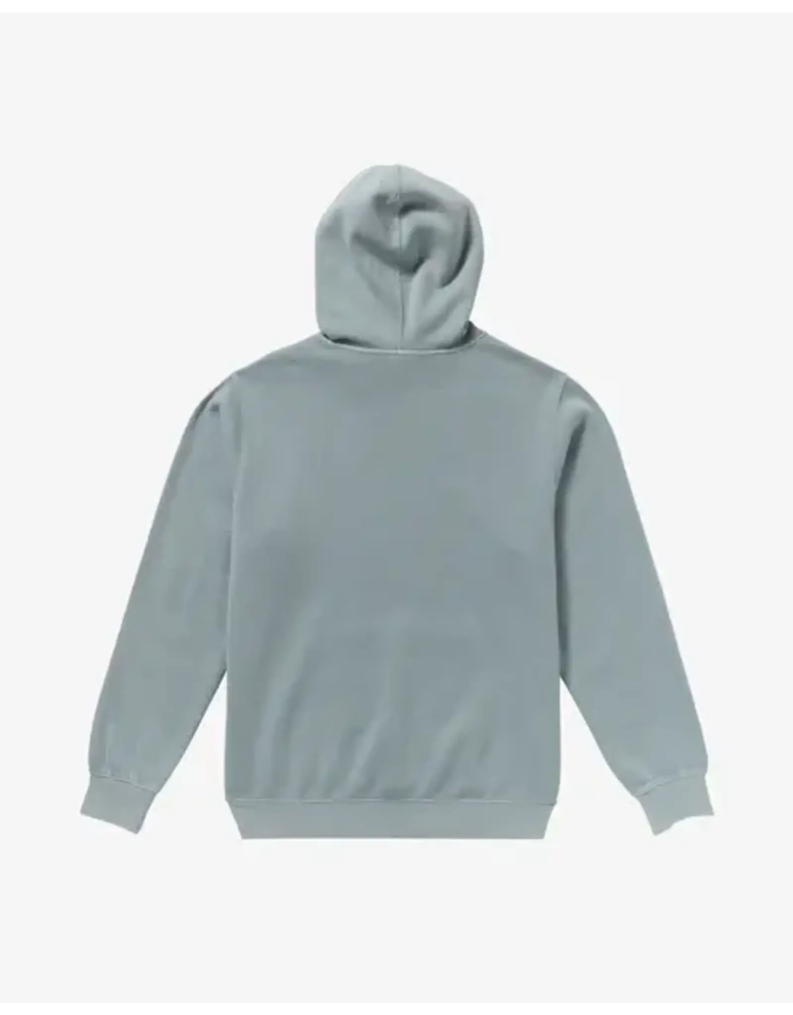 RVCA Guys RVCA MEN'S PTC HOODIE