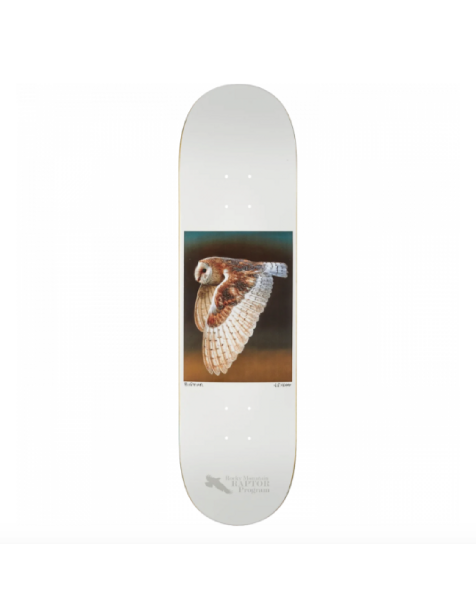 ZERO BURMAN HESS NATURE BARN OWL DECK-8.37 WHITE