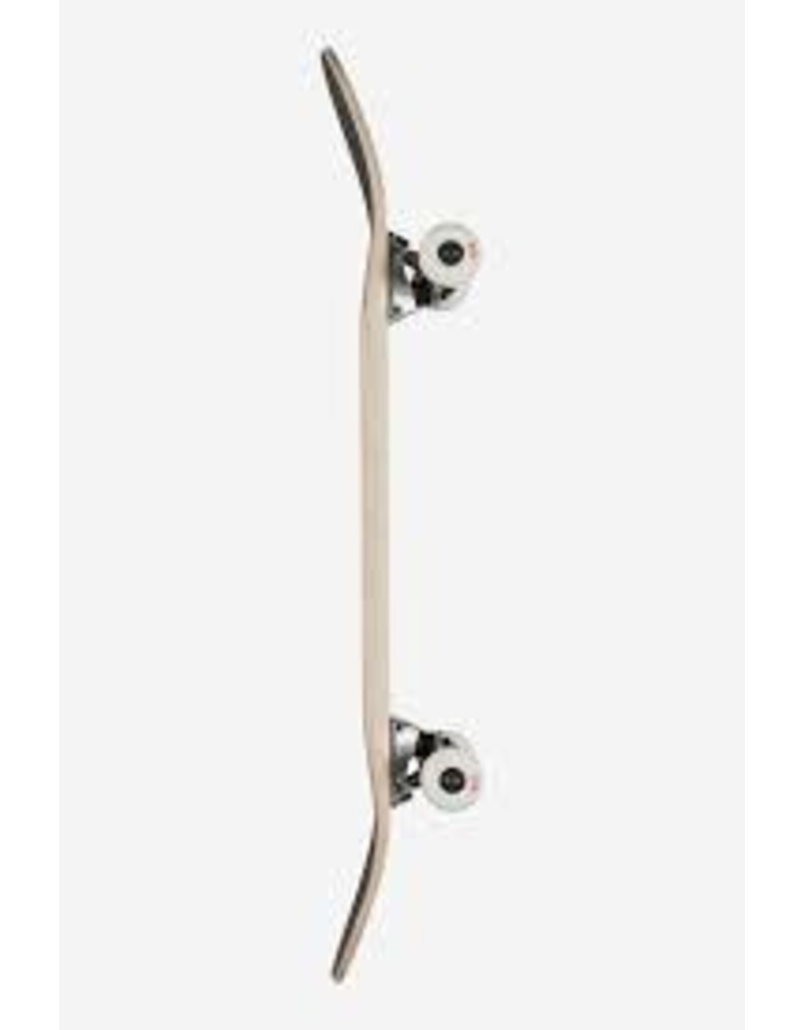 GLOBE GOODSTOCK 8.0" COMPLETE OFF WHITE #10525351 Off White 8.0"