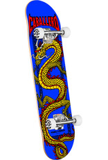 POWELL PERALTA Powell Peralta Cab Chinese Dragon Birch Complete Skateboard Royal Blue - 7.75 x 31.08