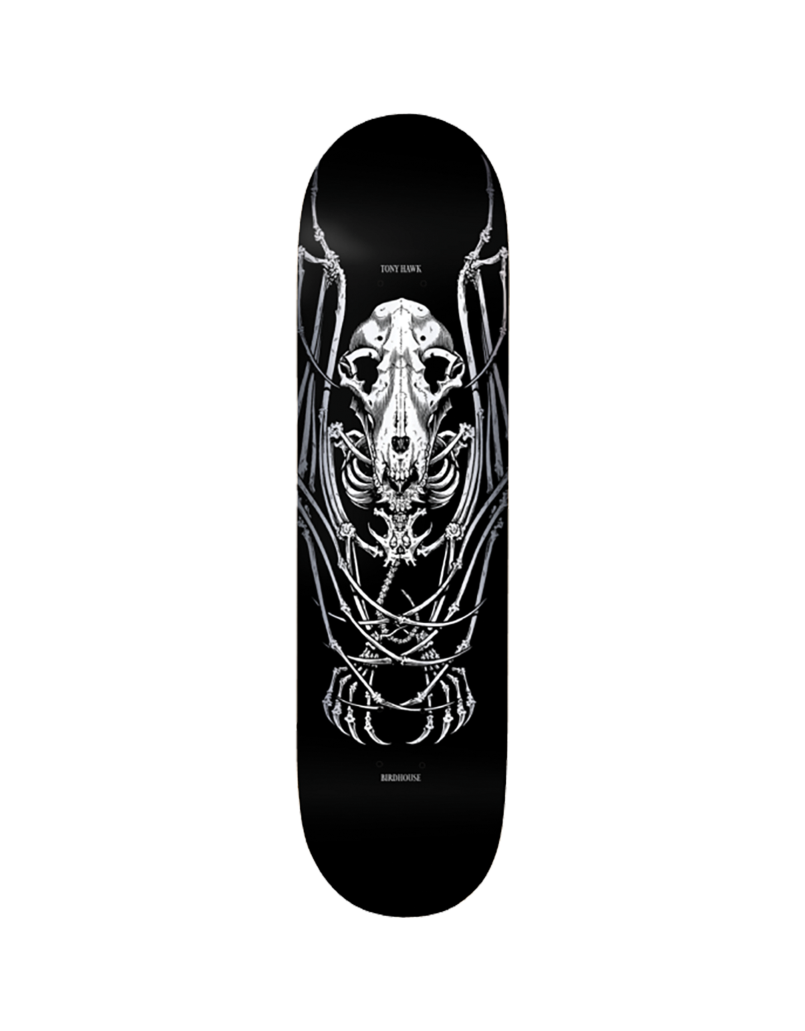 Birdhouse BH HAWK BAT FOIL DECK-8.12 Birdhouse