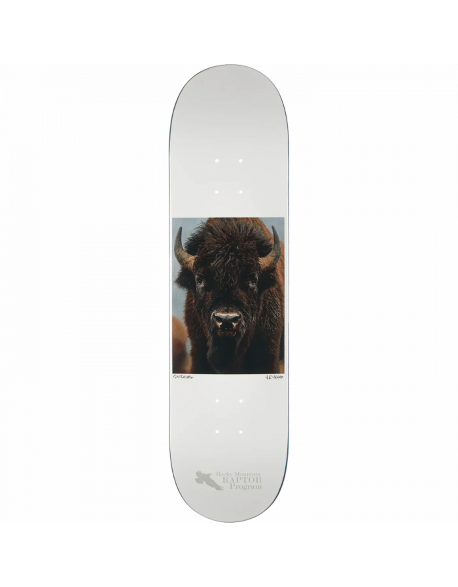 Zero ZERO SANDOVAL HESS NATURE BUFFALO DECK-8.25 WHITE