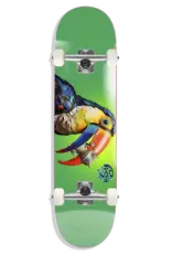 PUSH Toucan Fade FP Complete - 8.25