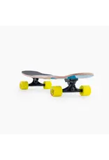 LANDYACHTZ Tony Danza – Coral
