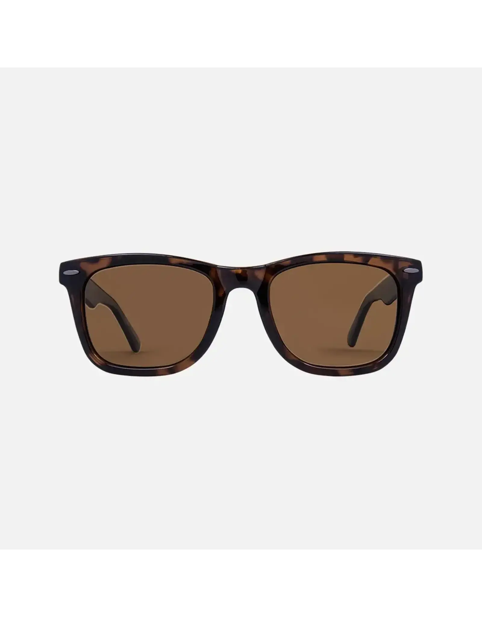 CARVE SUNGLASSES WOW VISION - POLARIZED GLOSS TORT FRAME SUNGLASSES