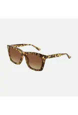 CARVE SUNGLASSES KIRBY - MILKY TORT BROWN GRADIENT LENS
