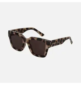 CARVE SUNGLASSES SOHO - GLOSS CREAMY TORT FRAME WITH BROWN LENS
