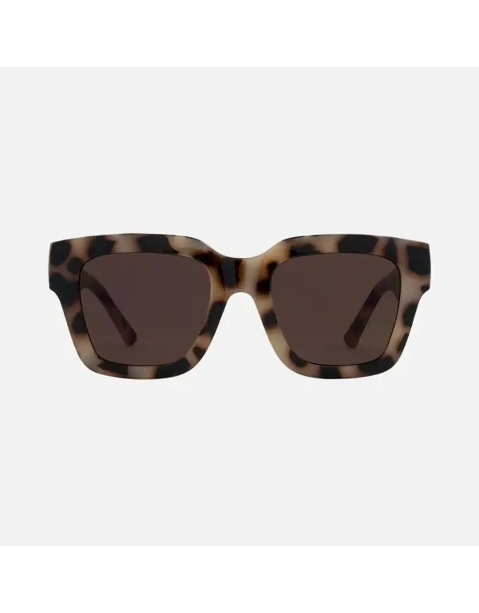 CARVE SUNGLASSES SOHO - GLOSS CREAMY TORT FRAME WITH BROWN LENS