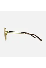 CARVE SUNGLASSES SOLANA - GLOSS GOLD METAL BROWN POL LENS