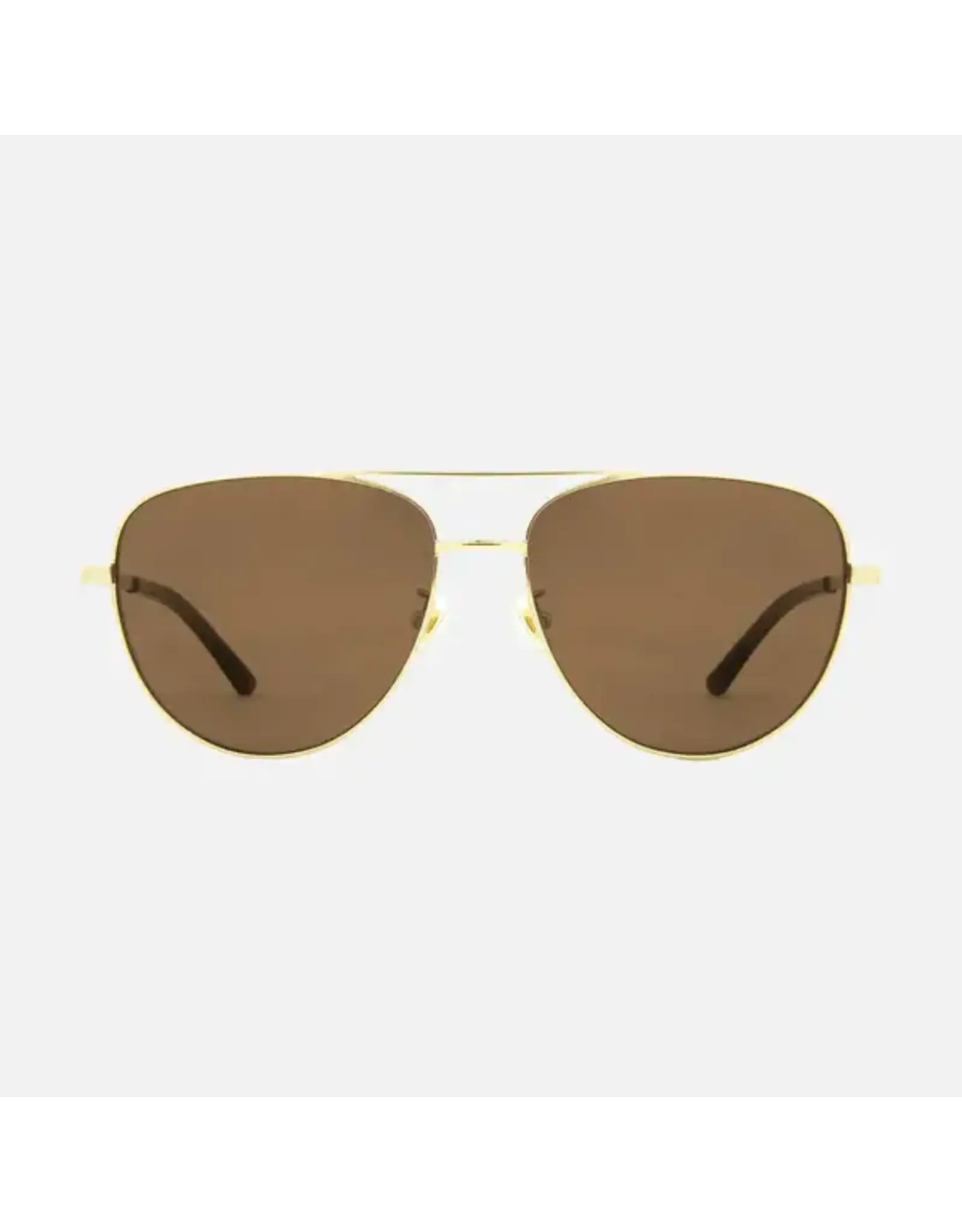 CARVE SUNGLASSES SOLANA - GLOSS GOLD METAL BROWN POL LENS