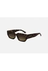 CARVE SUNGLASSES VINCA - GLOSS CREAMY TORT FRAME GRADIENT BROWN LENS