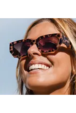 CARVE SUNGLASSES VINCA - GLOSS CREAMY TORT FRAME GRADIENT BROWN LENS