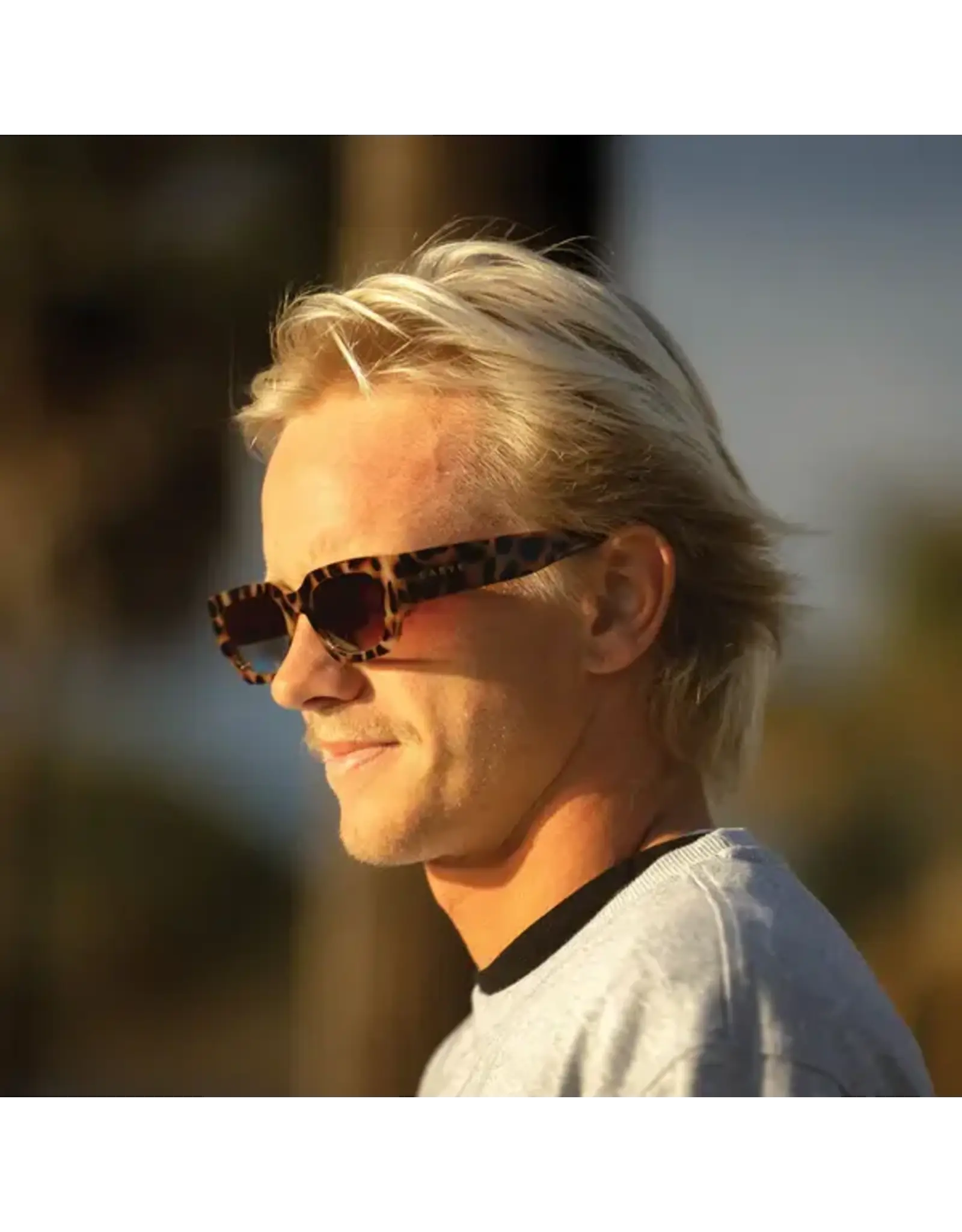 CARVE SUNGLASSES VINCA - GLOSS CREAMY TORT FRAME GRADIENT BROWN LENS