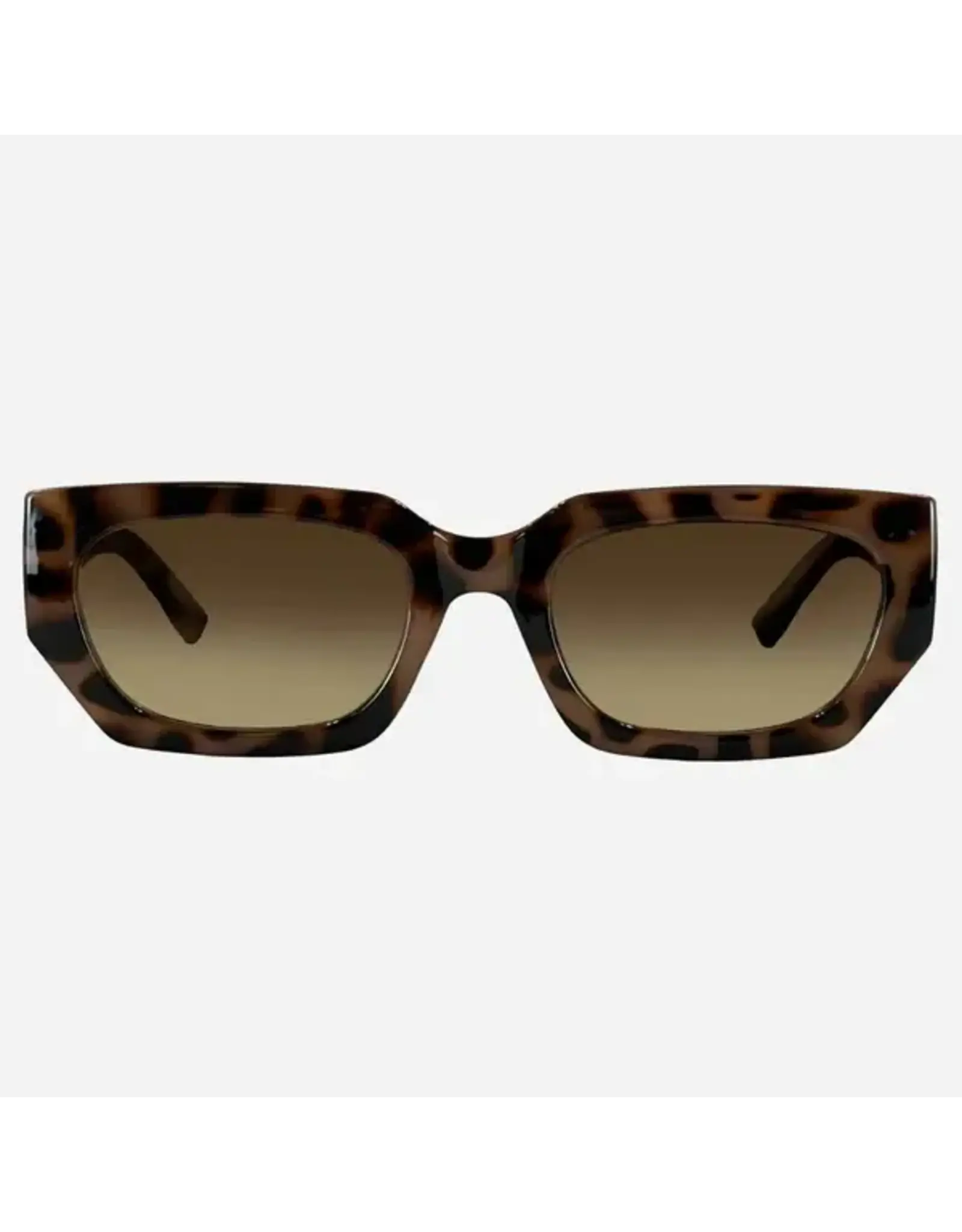 CARVE SUNGLASSES VINCA - GLOSS CREAMY TORT FRAME GRADIENT BROWN LENS