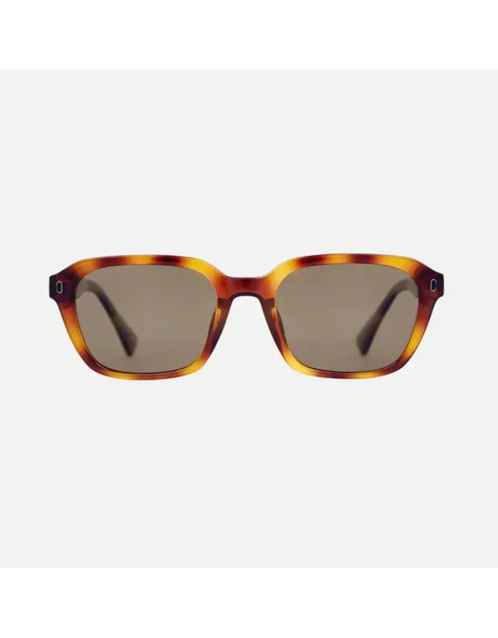 CARVE SUNGLASSES DEL RAY - TORT BROWN FRAME GRADIENT POLARIZED LENS