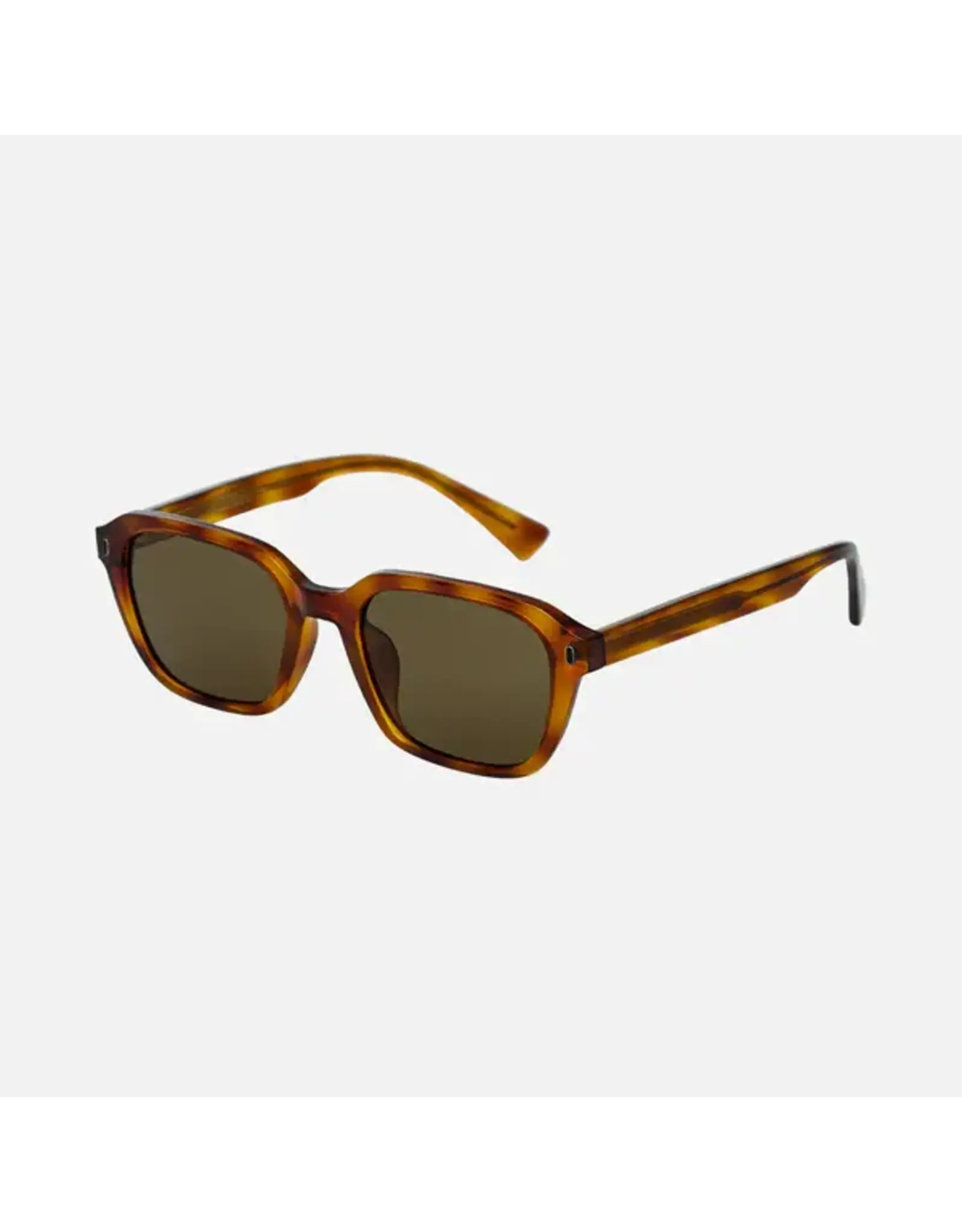 CARVE SUNGLASSES DEL RAY - TORT BROWN FRAME GRADIENT POLARIZED LENS