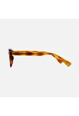 CARVE SUNGLASSES DEL RAY - TORT BROWN FRAME GRADIENT POLARIZED LENS