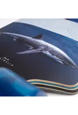 SECTOR 9 MERIDIAN RIPS COMPLETE