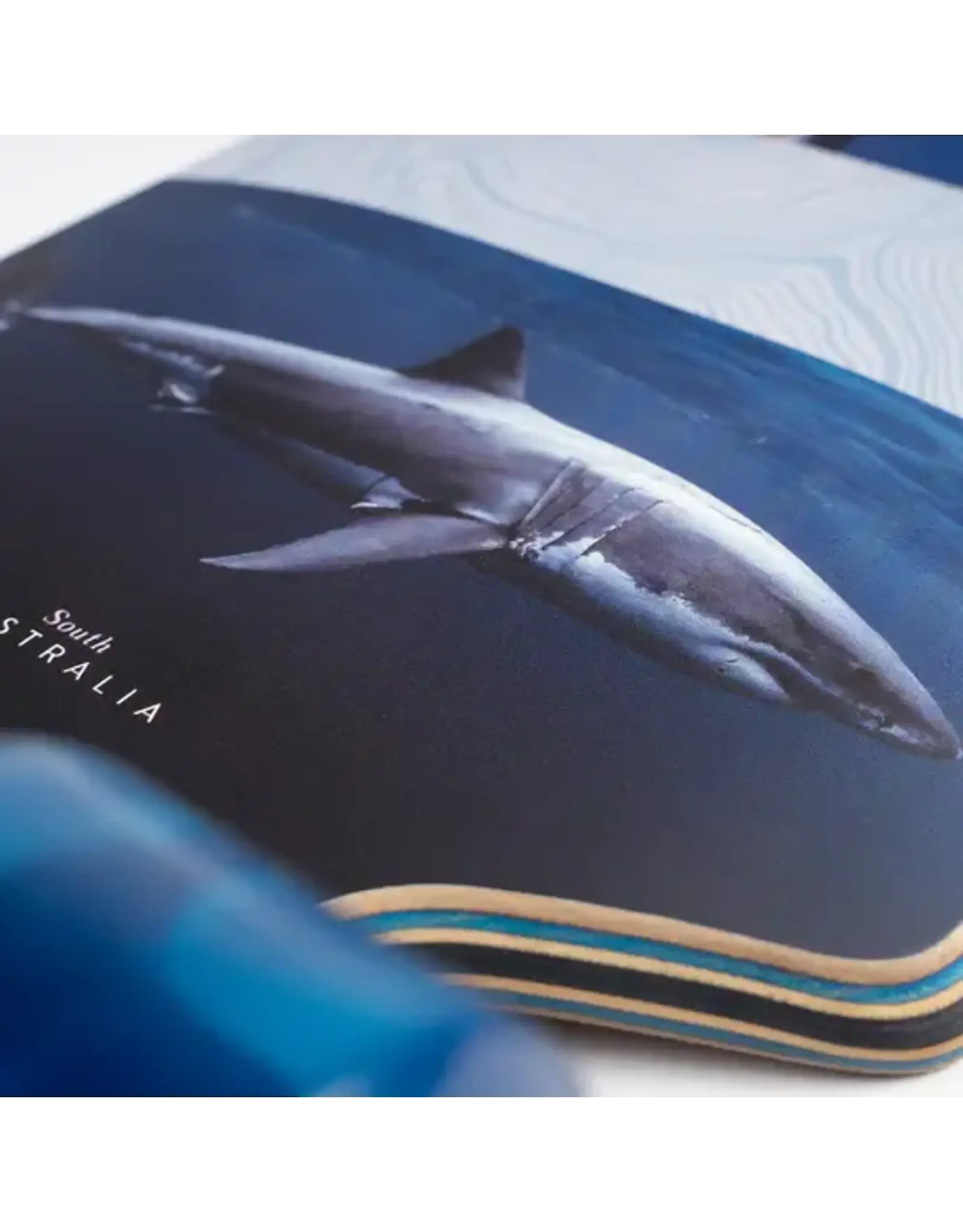 SECTOR 9 MERIDIAN RIPS COMPLETE