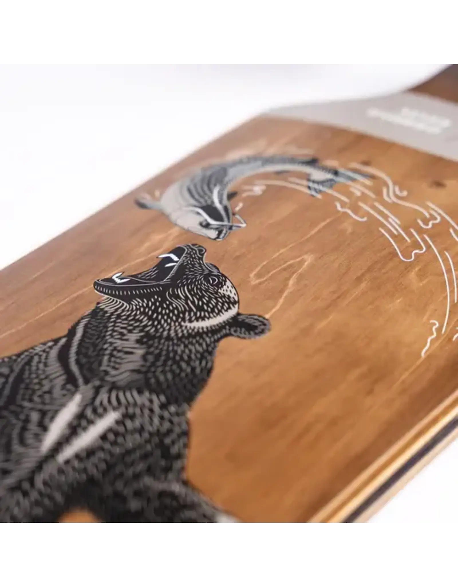 SECTOR 9 MERIDIAN GRIZZLY COMPLETE