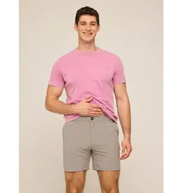 Chubbies The World's Grayests