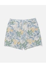 SALTY CREW Crew Volley 17" - Off White