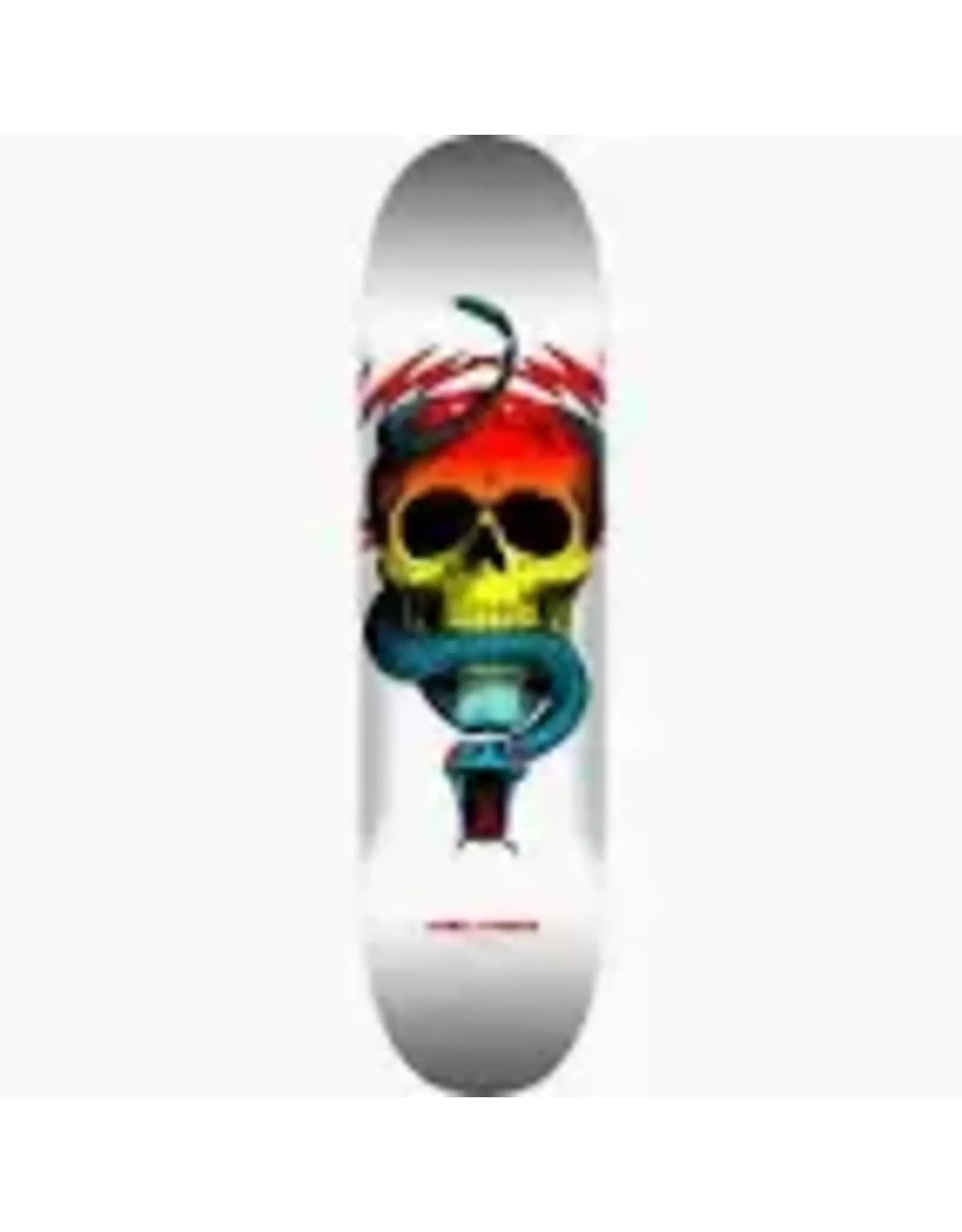 POWELL PERALTA POWELL PERALTA MCGILL SKULL & SNAKE 8.5 244 SHAPE SKATEBOARD DECK