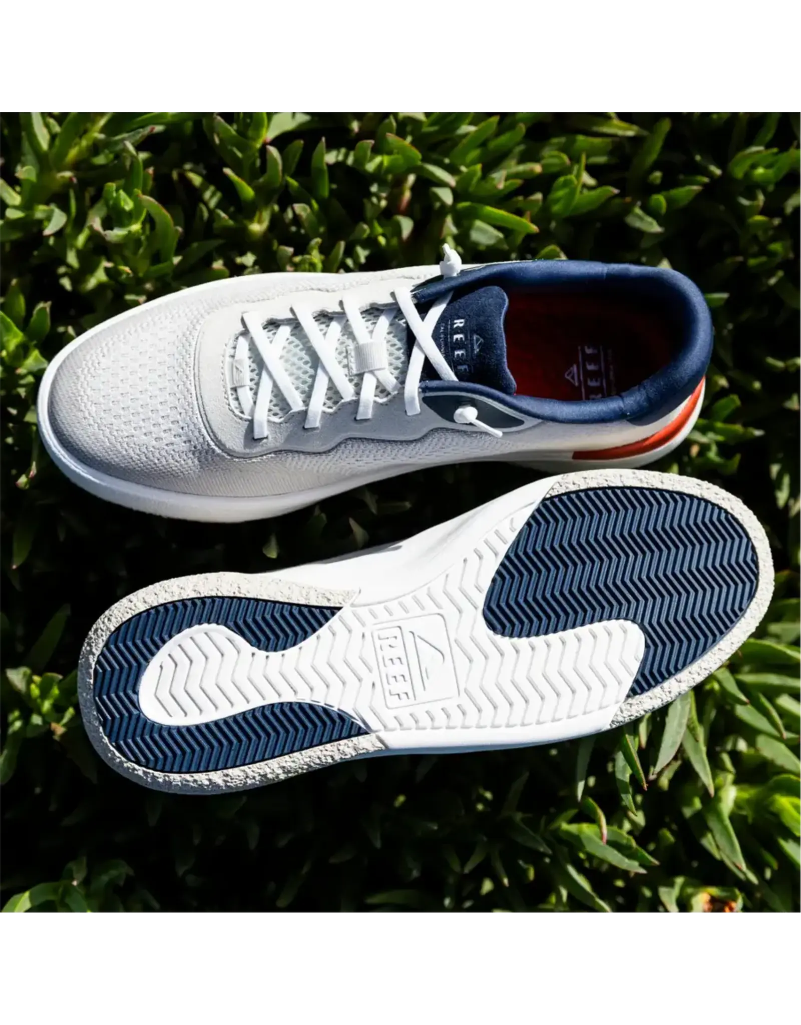 REEF Reef Shoreline Del Mar