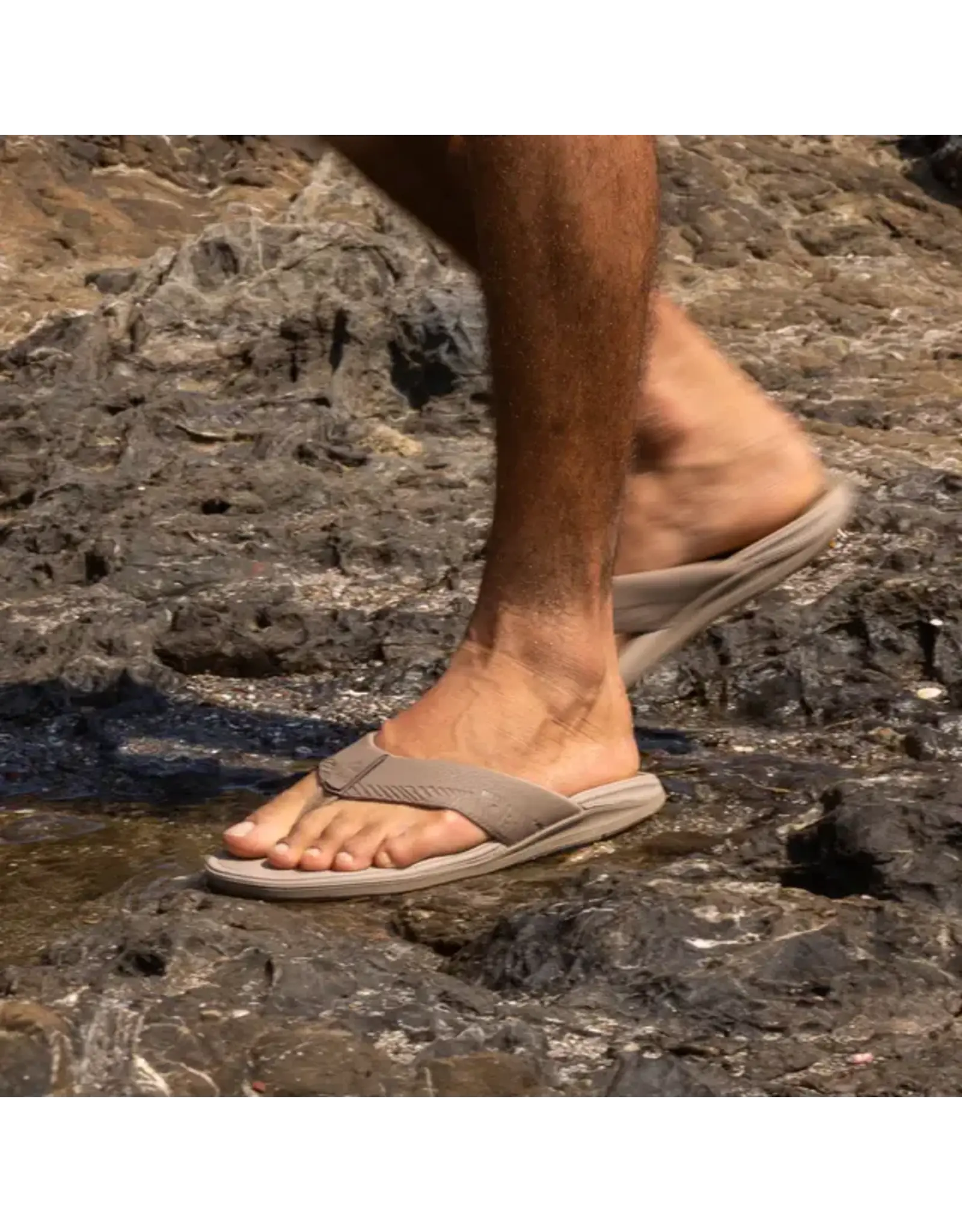 REEF Men's OFFSHORE REEF