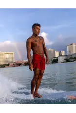 birdwell 310 BOARDSHORTS