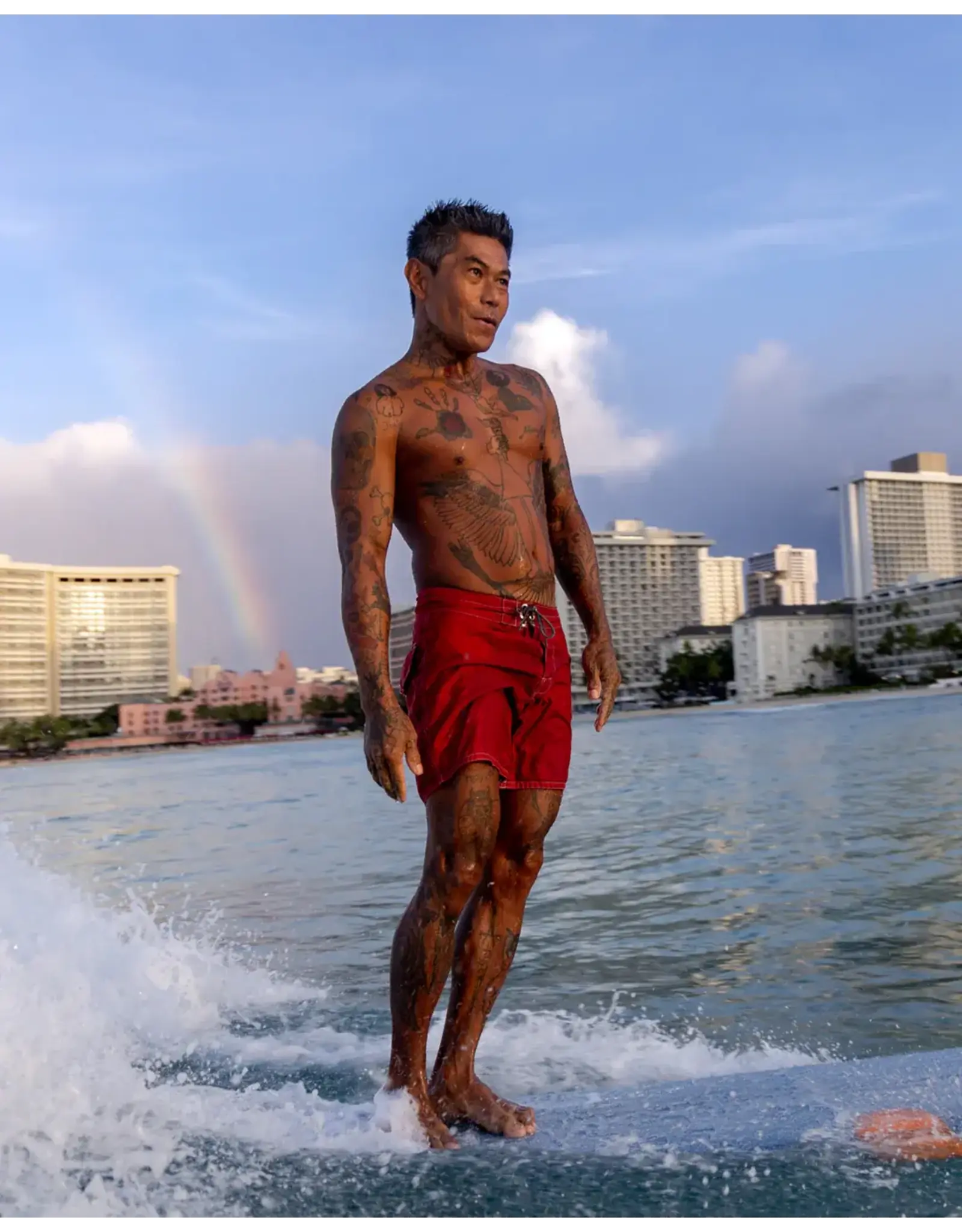 birdwell 310 BOARDSHORTS