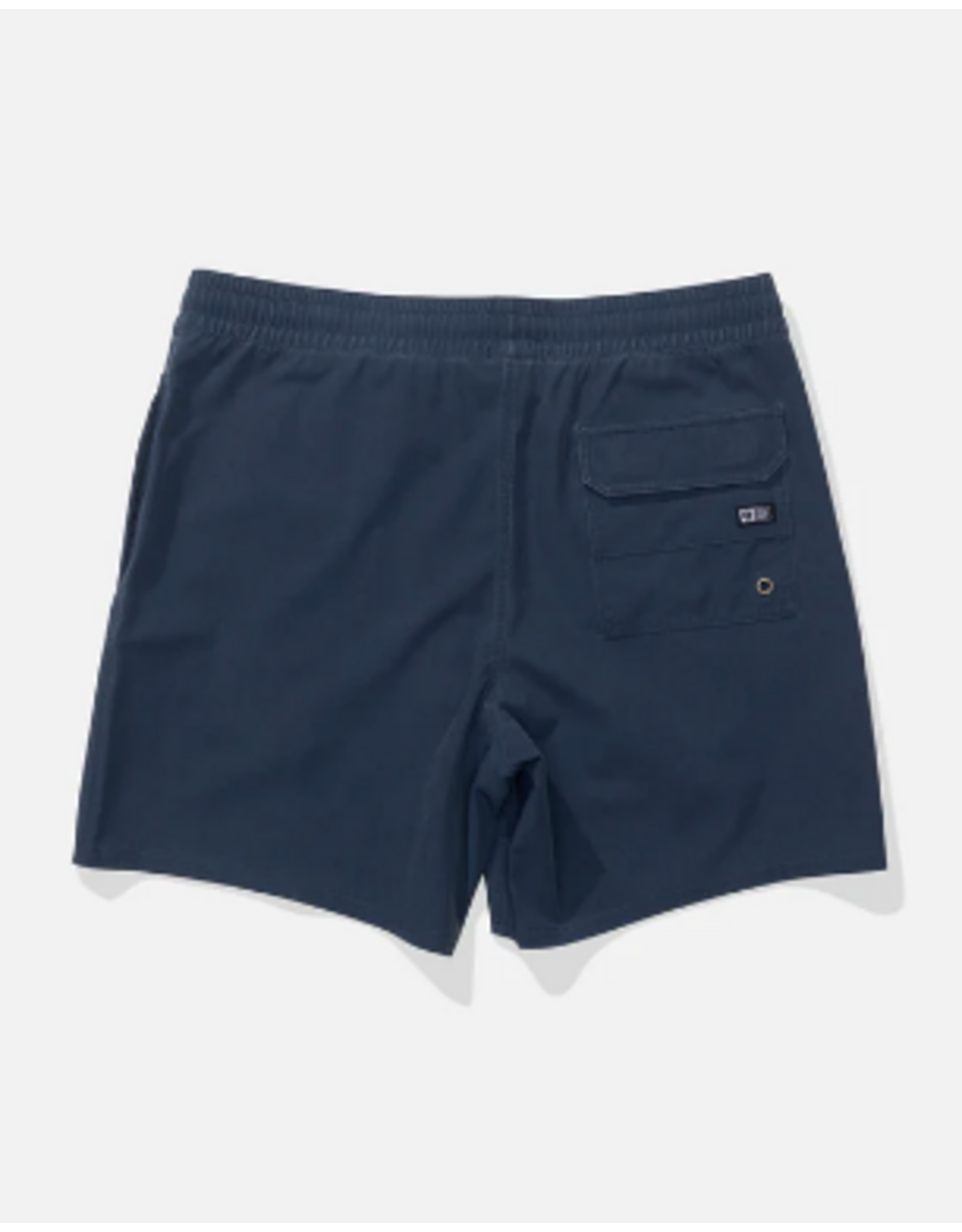 SALTY CREW Seadog Volley 17"- Midnight Navy