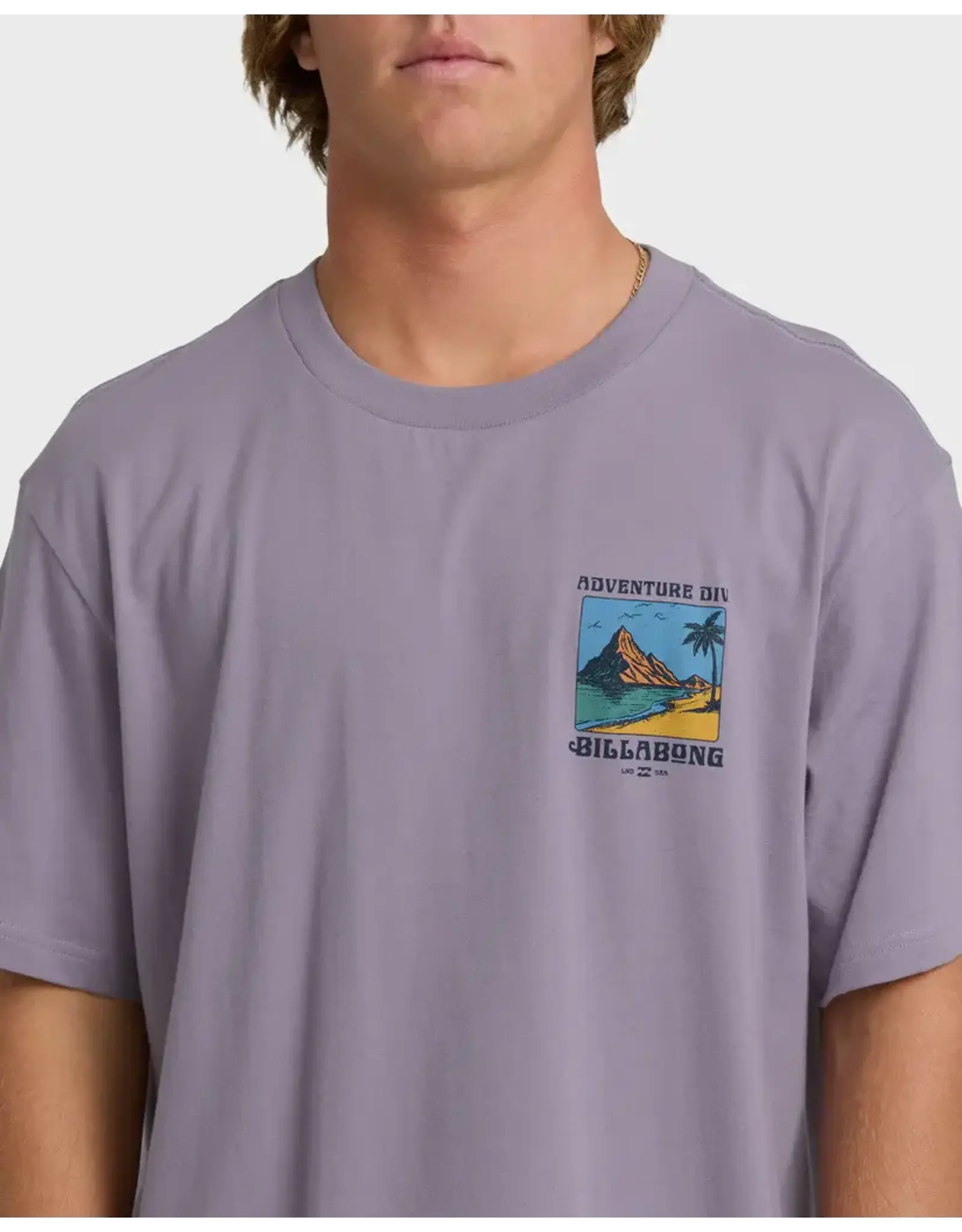 Billabong Guys Post Cards Adiv Premium Short Sleeve T-Shirt