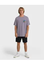 Billabong Guys Post Cards Adiv Premium Short Sleeve T-Shirt