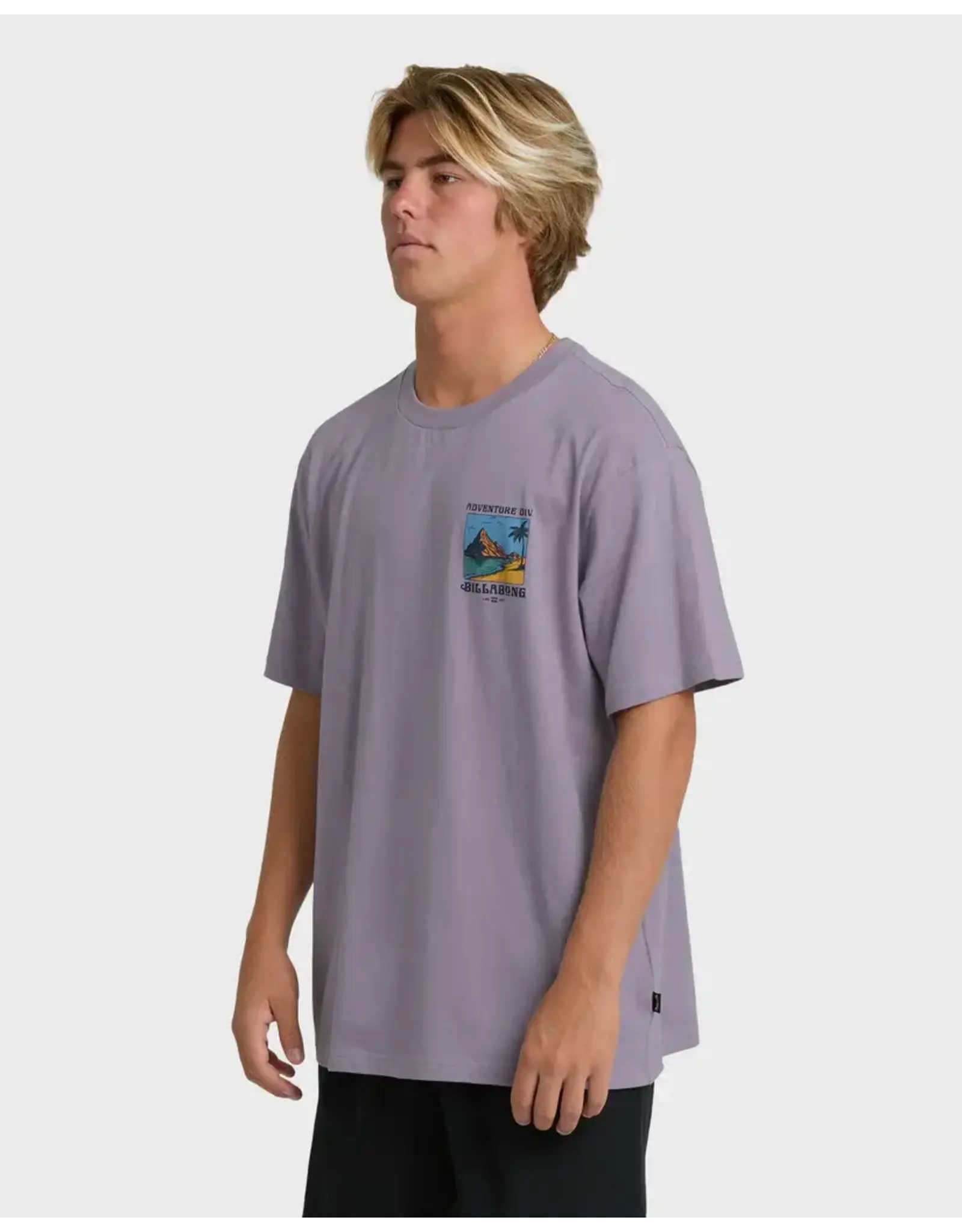Billabong Guys Post Cards Adiv Premium Short Sleeve T-Shirt