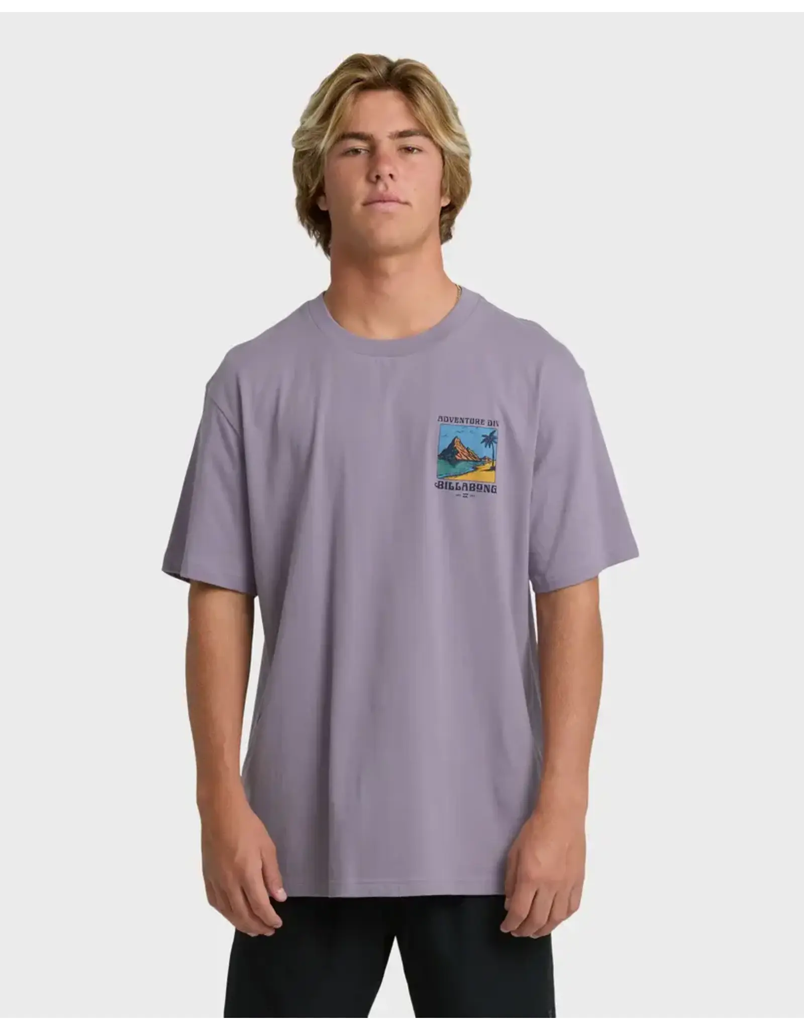 Billabong Guys Post Cards Adiv Premium Short Sleeve T-Shirt