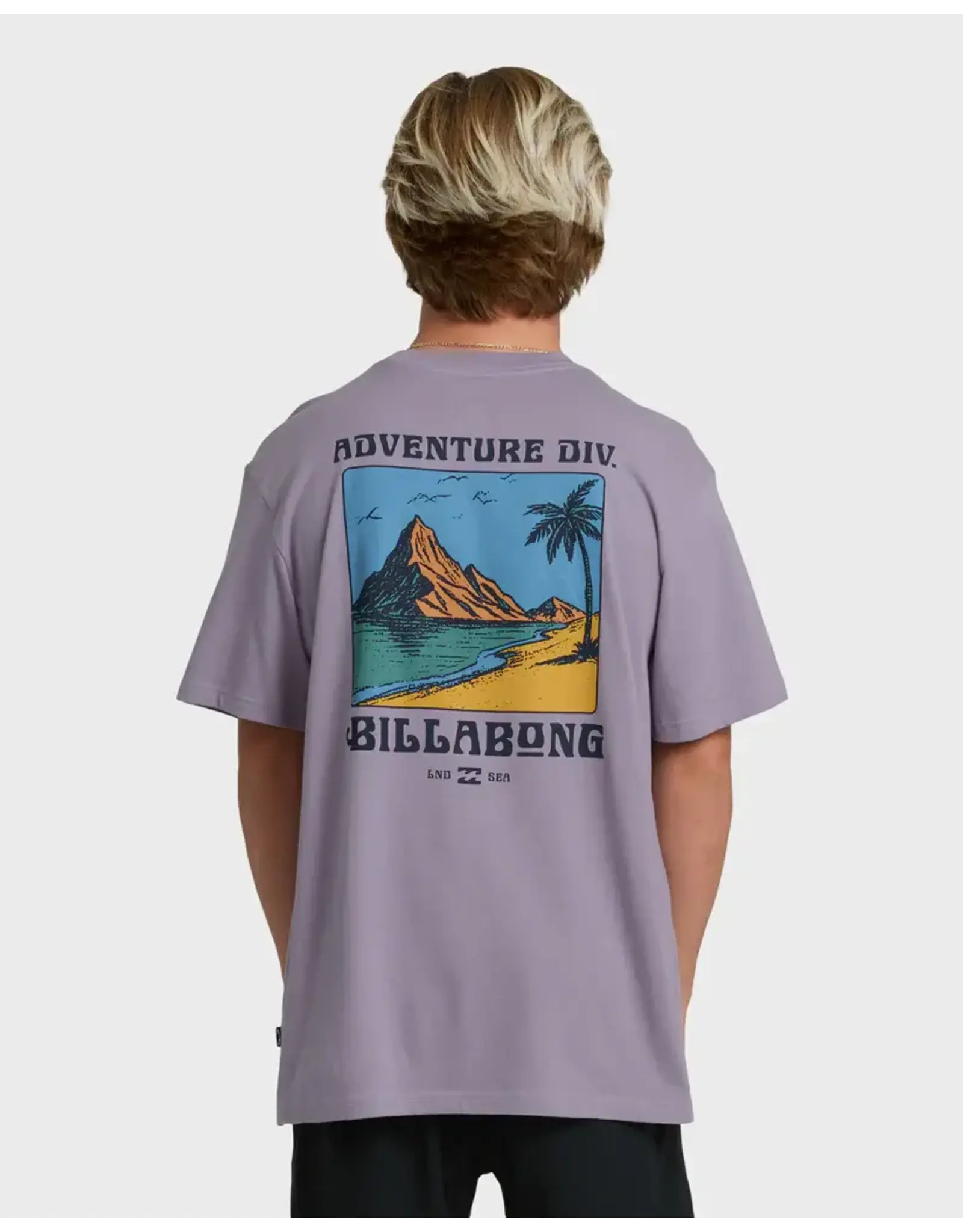 Billabong Guys Post Cards Adiv Premium Short Sleeve T-Shirt