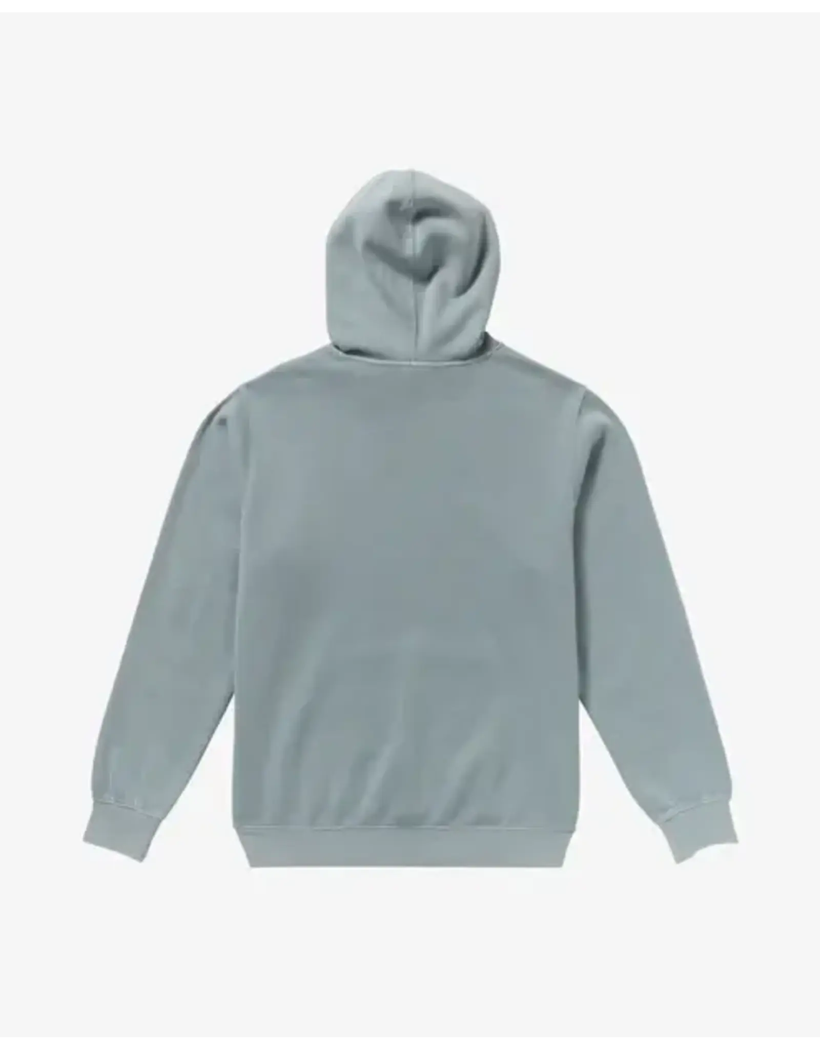 RVCA Guys RVCA MEN'S PTC HOODIE
