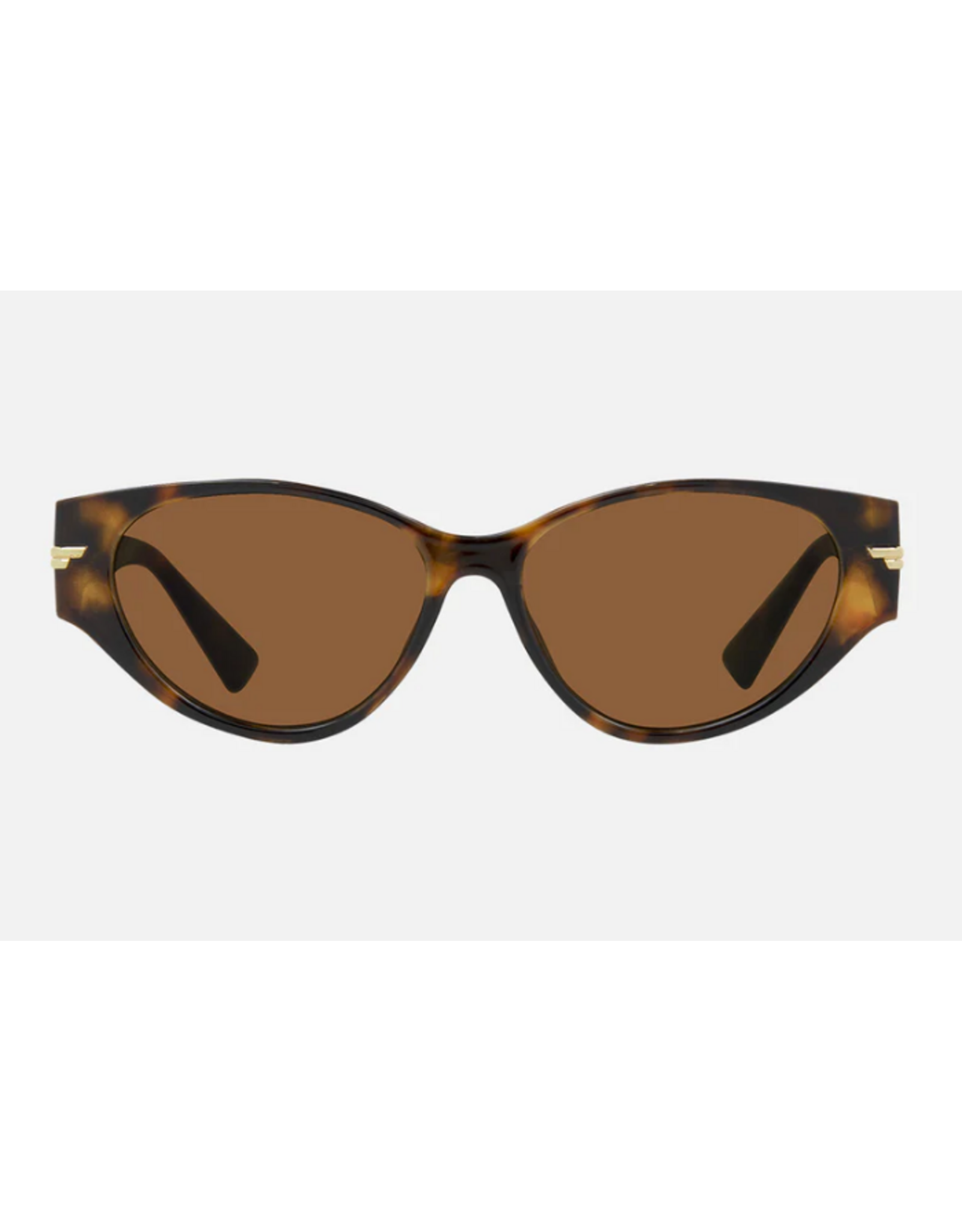 CARVE SUNGLASSES RHODE - GLOSS TORT BROWN LENS
