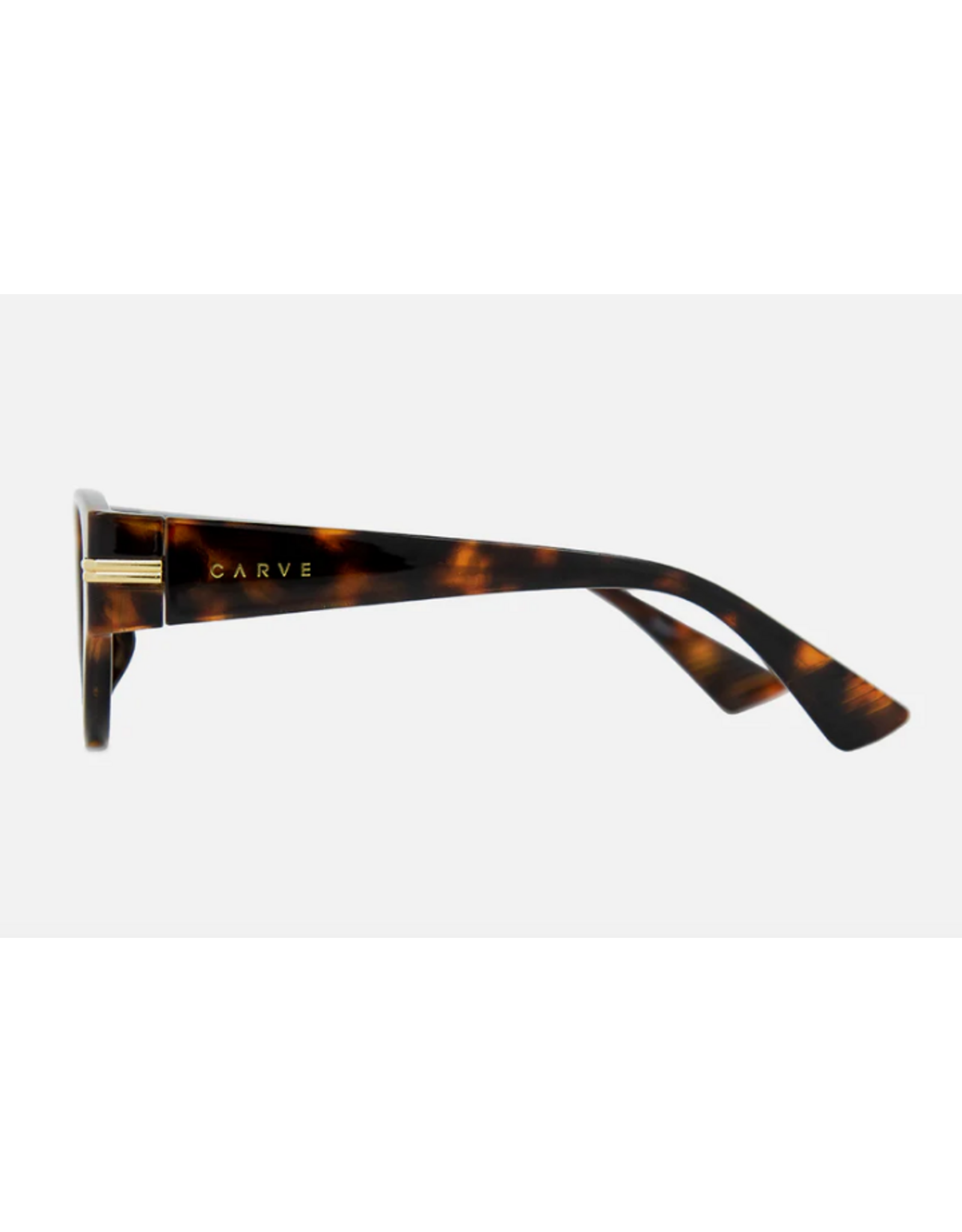 CARVE SUNGLASSES RHODE - GLOSS TORT BROWN LENS