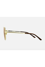 CARVE SUNGLASSES SOLANA - GLOSS GOLD METAL BROWN POL LENS