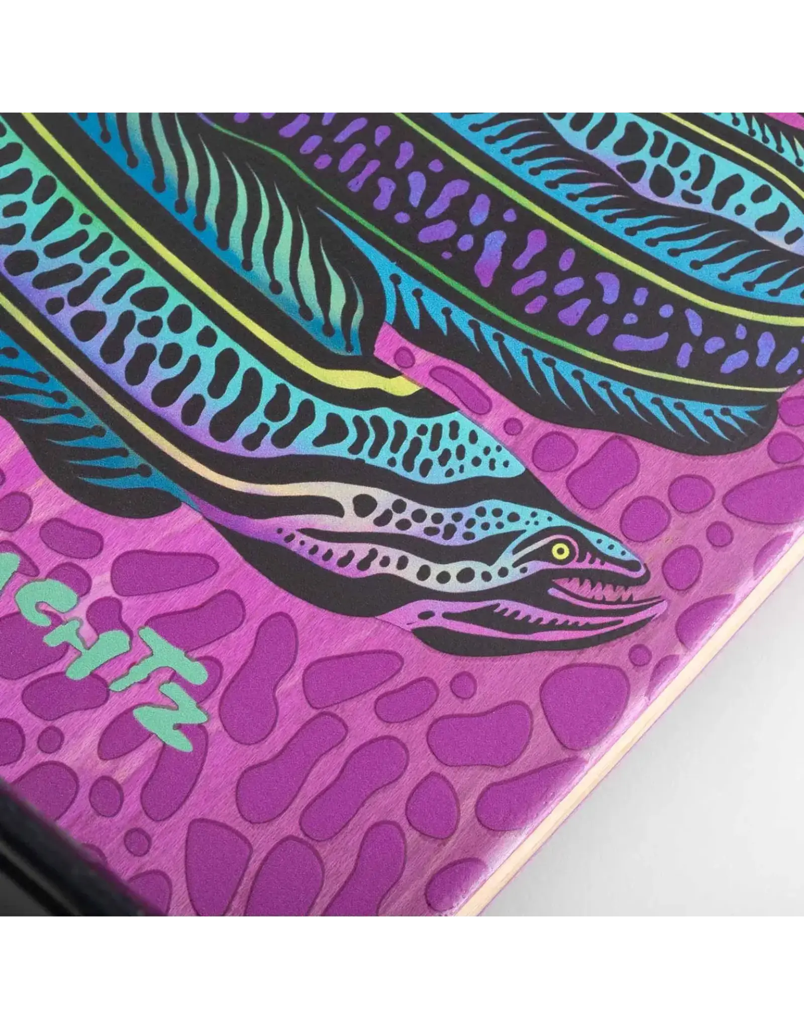 LANDYACHTZ Dinghy Classic Fender – Moray Eel