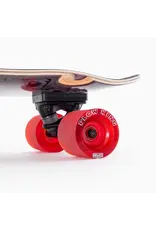 LANDYACHTZ Schooner – Skull Jam