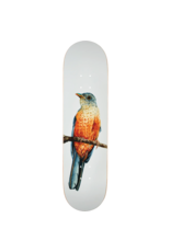 DEATHWISH DW FACCHINI SABIA-LARANJEIRA DECK-8.12 Deathwish