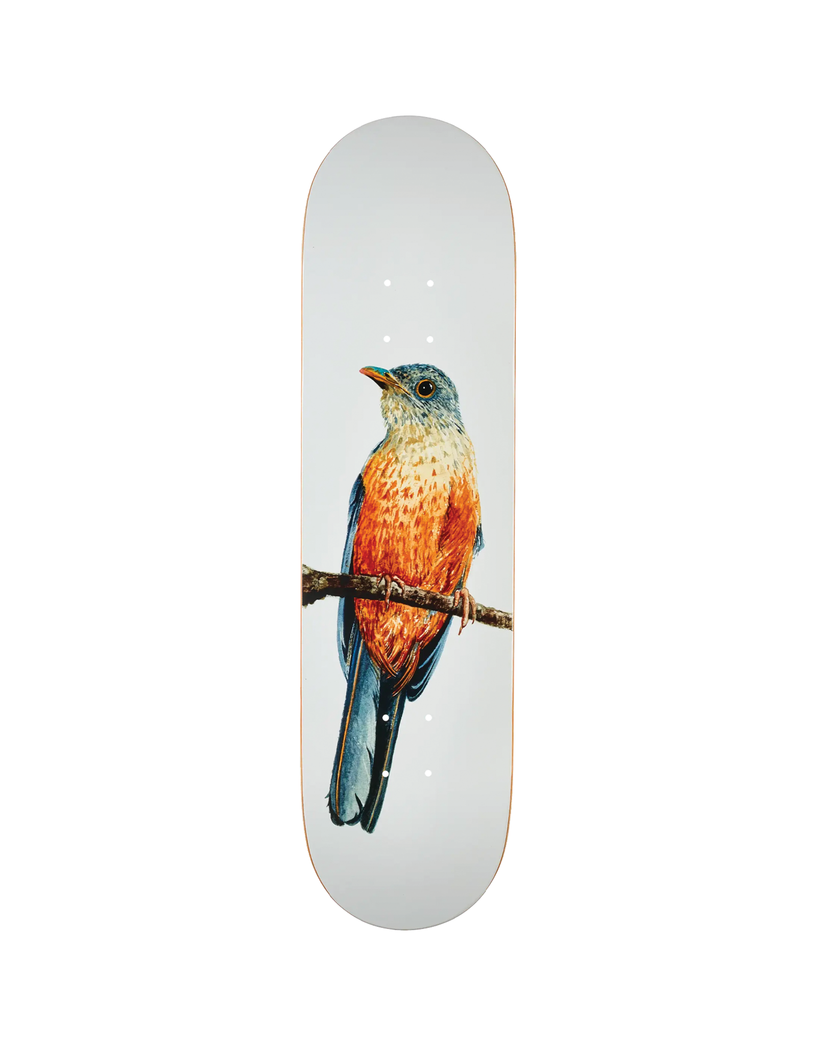 DEATHWISH DW FACCHINI SABIA-LARANJEIRA DECK-8.12 Deathwish